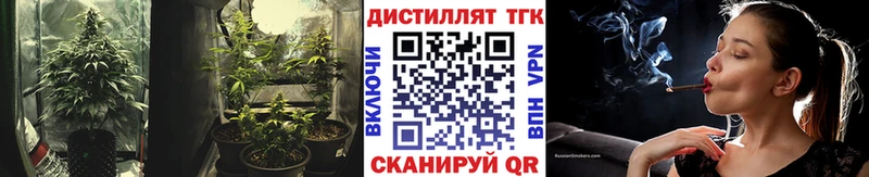 дарк нет состав Кирс Дистиллят ТГК Wax