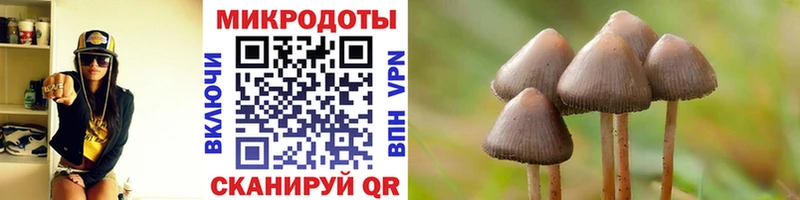Псилоцибиновые грибы GOLDEN TEACHER площадка клад Кирс купить